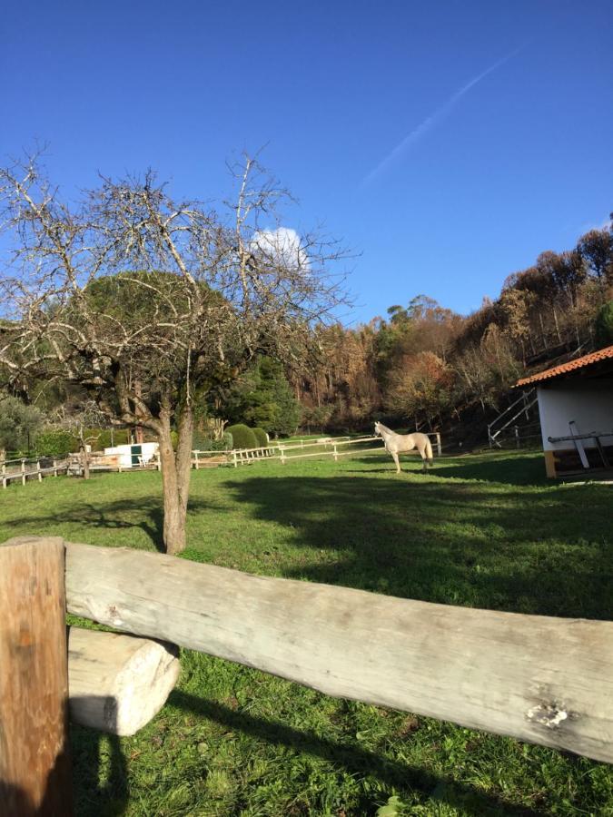 Quinta Dos Lameiros